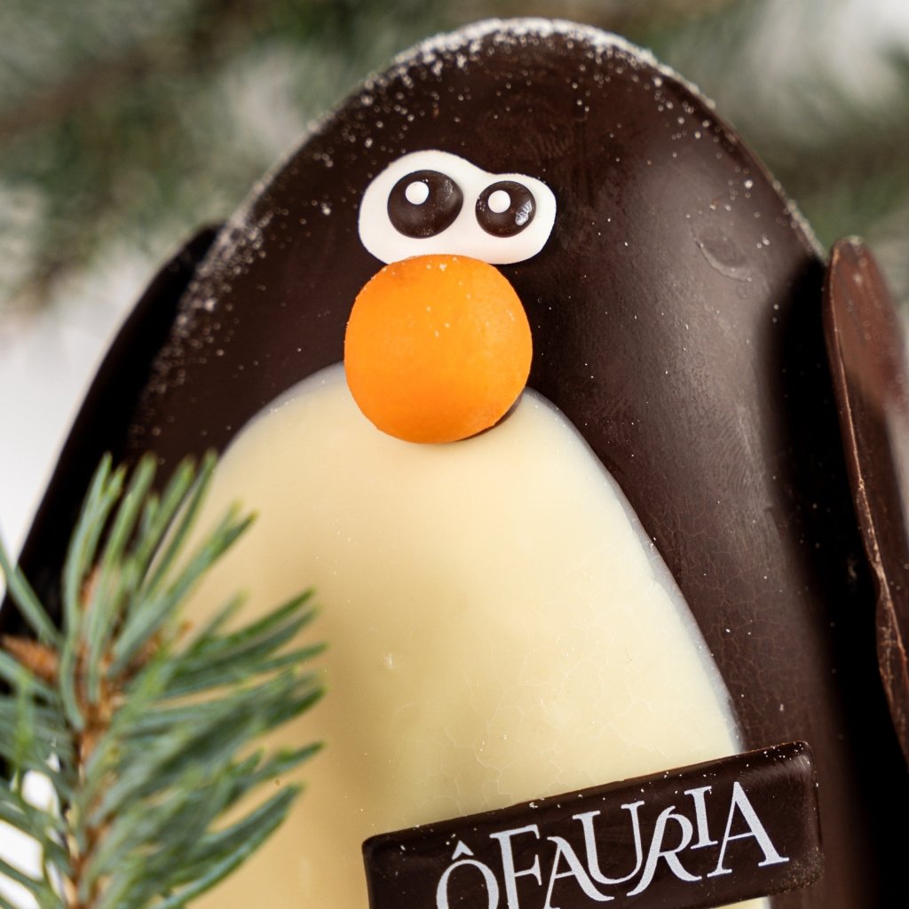Le pingouin en chocolat Noir - Ôfauria